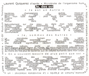 Typoésie "Je, des Soi", extrait de DéZopilant n°23